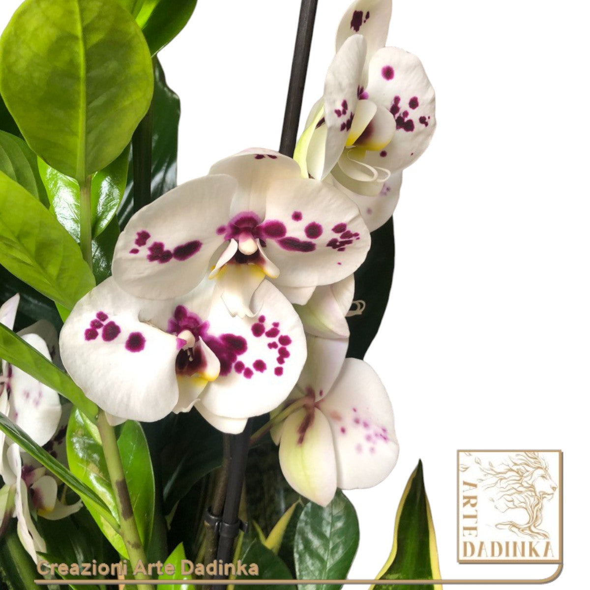 Orchidea nel verde