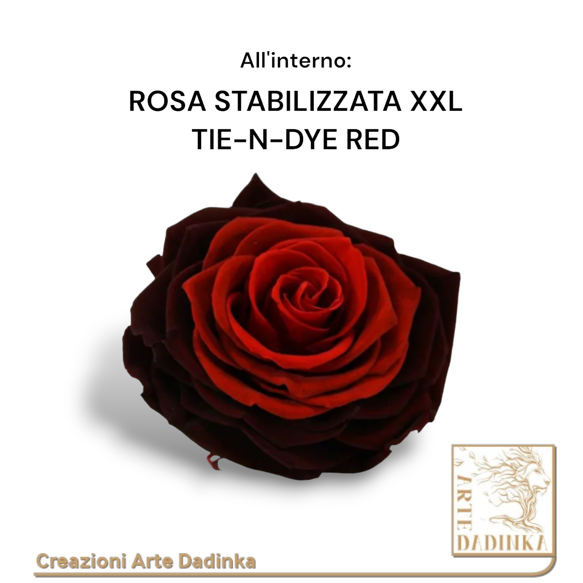 Cupola con rosa stabilizzata XXL